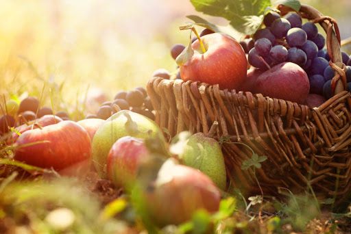 Scopri di più sull'articolo Il nostro carburante elettivo è il Fruttosio naturale della Frutta – Arnold Ehret