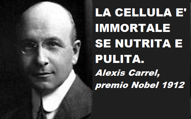 Scopri di più sull'articolo Alexis Carrel: “La cellula è immortale”. Il segreto dell’eterna giovinezza?