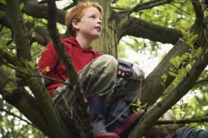 Scopri di più sull'articolo Perchè i bambini amano arrampicarsi sugli alberi?