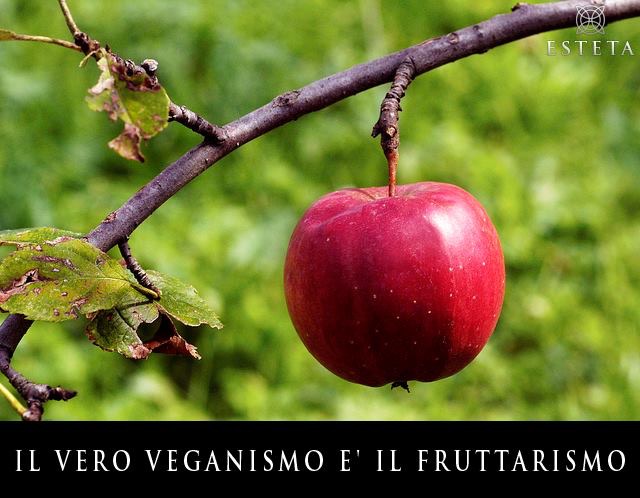 Scopri di più sull'articolo Il vero veganismo è il Fruttarismo