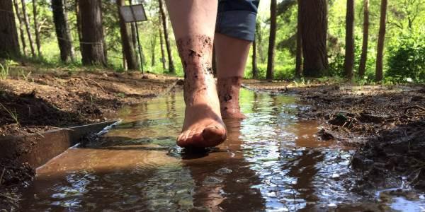 Scopri di più sull'articolo Parco dei cinque sensi, per correre a piedi nudi tra la natura