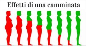 Scopri di più sull'articolo Ecco cosa accade al corpo se si cammina ogni giorno per 30 minuti