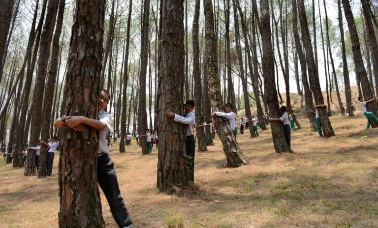 Scopri di più sull'articolo Stefano Mancuso: “Ci stiamo giocando il futuro: la deforestazione è un crimine contro l’umanità”