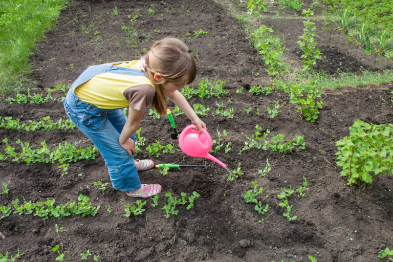 Scopri di più sull'articolo Il ruolo fondamentale del contatto con la terra, secondo Maria Montessori